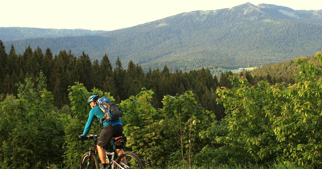 Garnihotel Zur Linde - Bayerischer Wald - Aktivcard Mit 154 Kostenfreien Leistungen - Kostenloser Parkplatz Lohberg Esterno foto