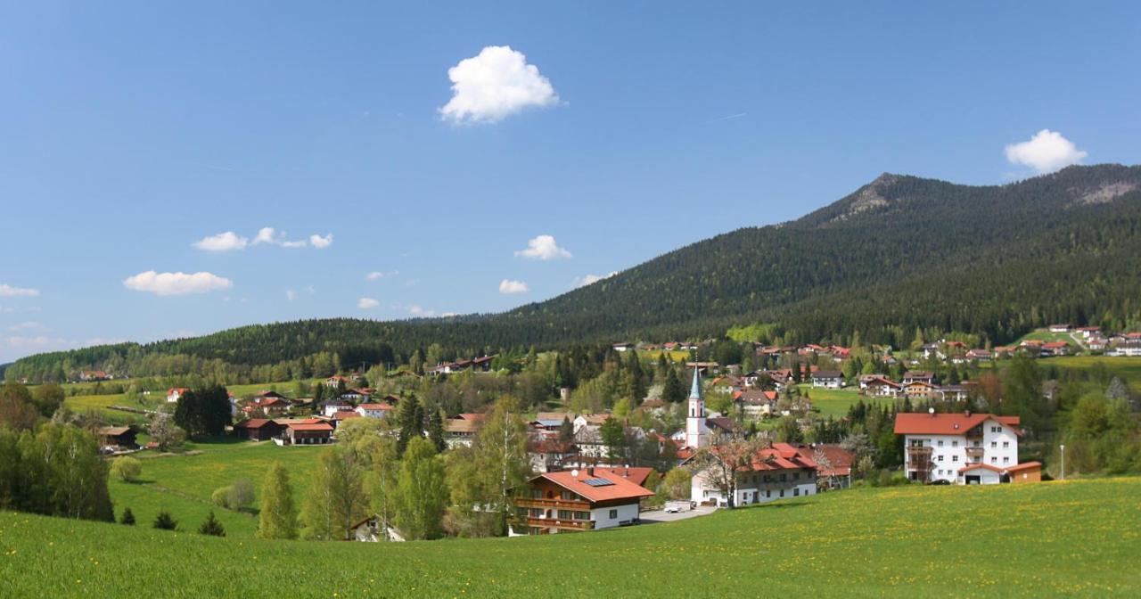 Garnihotel Zur Linde - Bayerischer Wald - Aktivcard Mit 154 Kostenfreien Leistungen - Kostenloser Parkplatz Lohberg Esterno foto