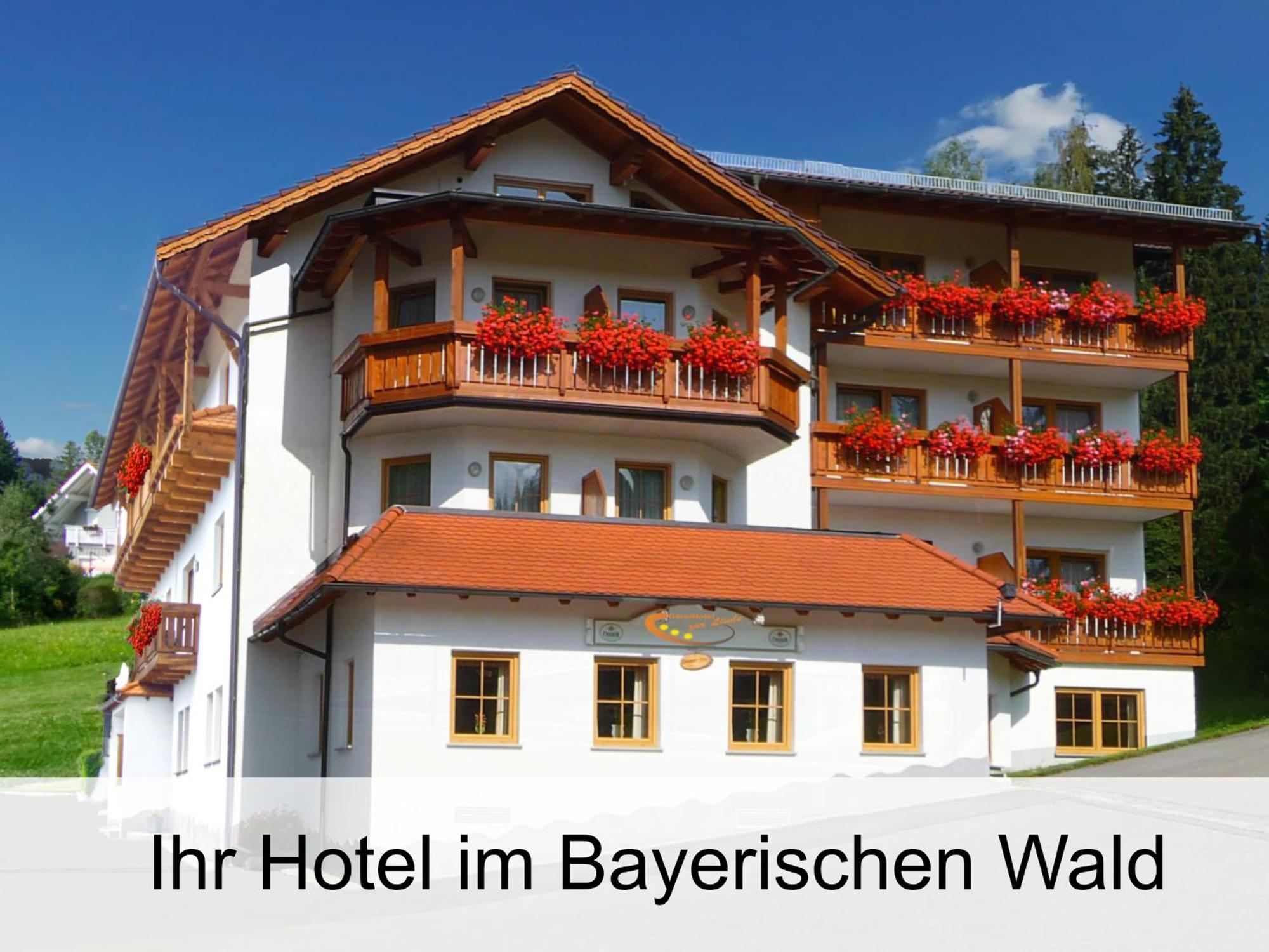Garnihotel Zur Linde - Bayerischer Wald - Aktivcard Mit 154 Kostenfreien Leistungen - Kostenloser Parkplatz Lohberg Esterno foto